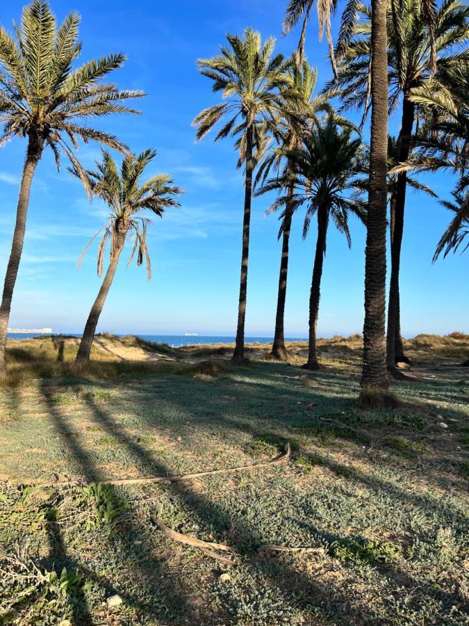 Gound Floor Bungalow Jumilla III Playa Flamenca Dehesa de Campoamor  Екстер'єр фото